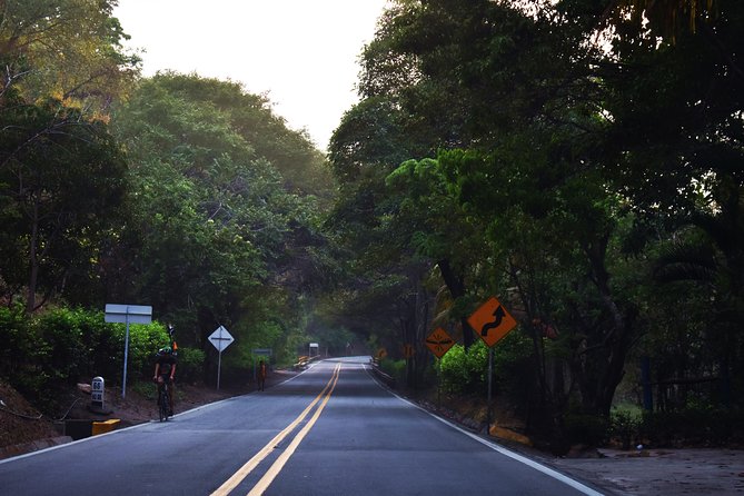 Private Transportation Service From Palomino to Santa Marta - Key Points