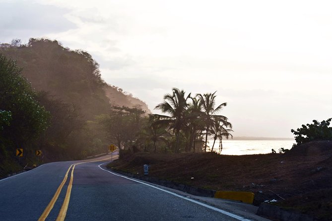 Private Transportation Service From Palomino to Santa Marta - Key Points