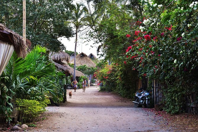 Private Transportation Service From Santa Marta to Palomino - Key Points
