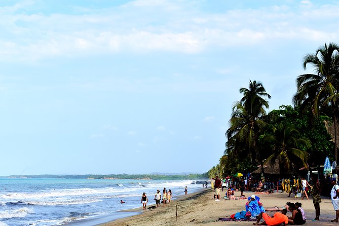 Private Transportation Service From Santa Marta to Palomino - Convenience and Experience