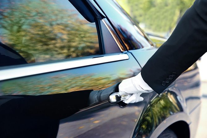 Private Transportation Services (Day Use) - Accessibility and Participation