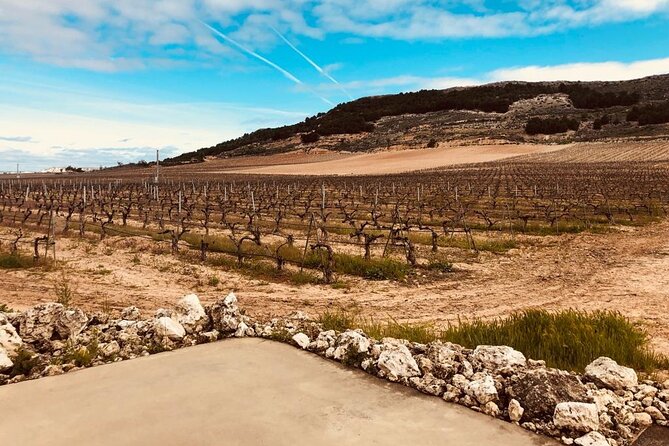 Private Transportation to Wineries With Hotel Pick-Up From Madrid - Transportation Details
