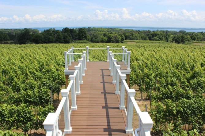 Private Traverse City Winery or Brewery Tour - Tailored Tour Options