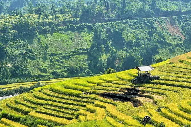 Private Trekking Through Terraces Rice Fields in Sapa - Tour Details