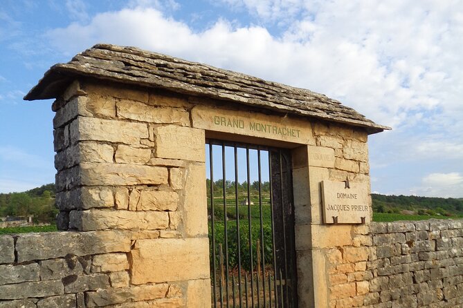 Private Trip and Wine Tasting in Burgundy" - Transportation and Amenities