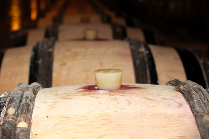 Private Trip and Wine Tasting in Burgundy" - Inclusions