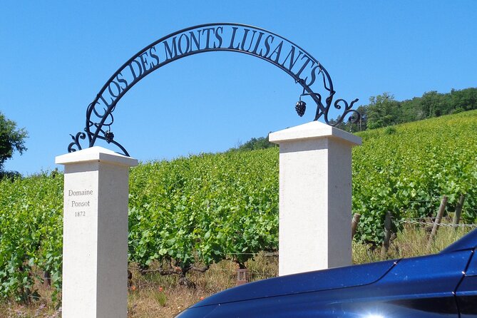 Private Trip and Wine Tasting in Burgundy" - Exploring Dijon