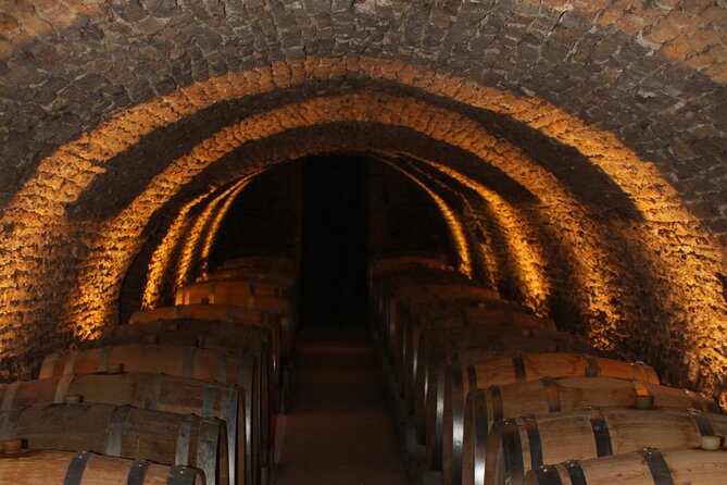 Private Trip and Wine Tasting in Burgundy" - Burgundys Winemaking Heritage