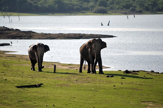 Private Trip Buduruwagala and Udawalawe Safari From Tangalle - Exclusions