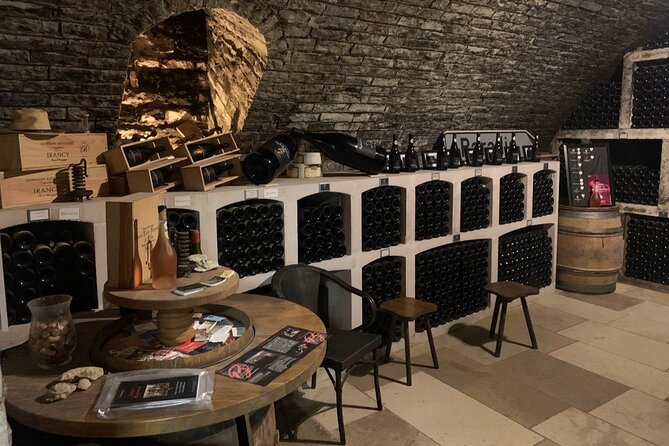 Private Trip Burgundy From Paris 20 Chablis Wines Tasting - Included Amenities and Features