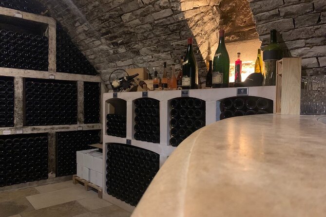 Private Trip Burgundy From Paris 20 Chablis Wines Tasting - Accessibility and Participation