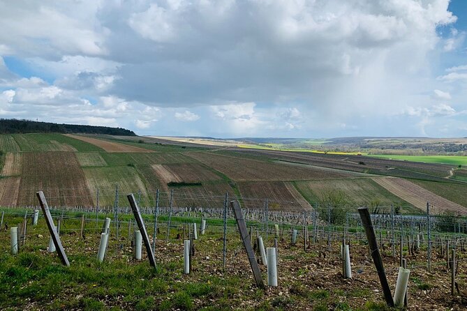Private Trip Burgundy From Paris 20 Chablis Wines Tasting - What to Expect on the Tour