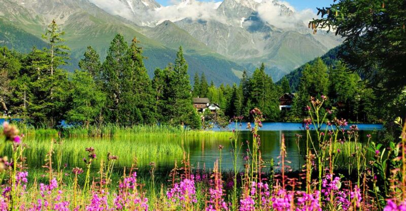 Private Trip From Geneva to Chamonix & Montreux - Just The Basics