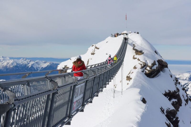 Private Trip From Geneva to Glacier 3000 - Meet and Greet at Hotel