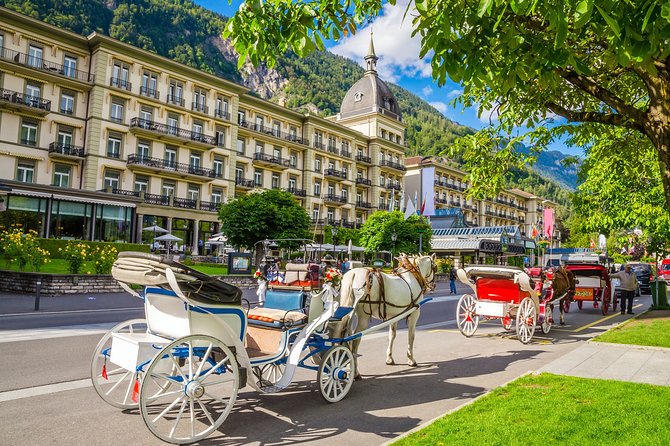 Private Trip From Geneva to Interlaken - Mountain Scenery
