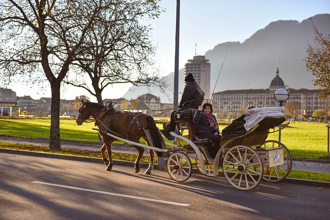Private Trip From Geneva to Interlaken - Transportation and Services