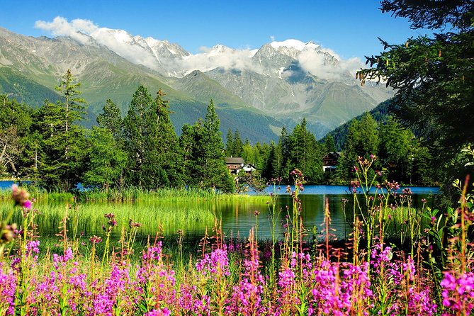 Private Trip From Geneva to Swiss Riviera Montreux & Chamonix - Scenic Highlights