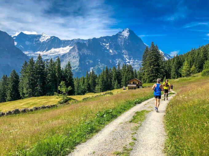 Private Trip From Zurich to Grindelwald & Interlaken - Transportation and Driver