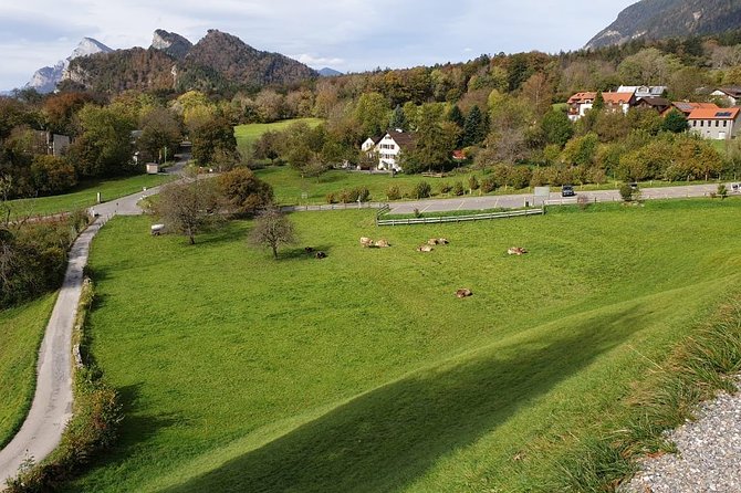 Private Trip From Zurich to Vaduz in Liechtenstein & Swiss Heidiland - Customer Reviews and Feedback