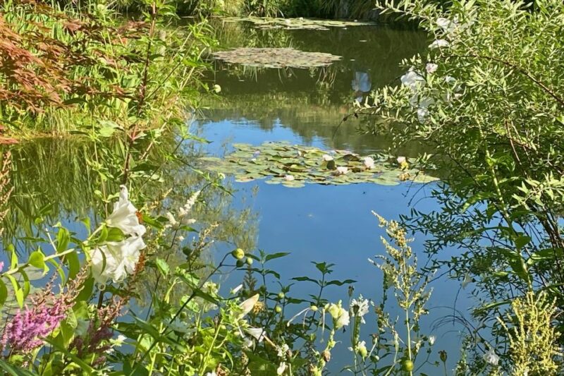 Private Trip Giverny Versailles Trianon From Paris - Customer Reviews