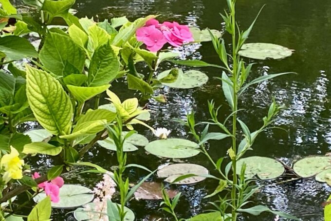 Private Trip Giverny Versailles Trianon From Paris - Experiencing the Trianon Estates