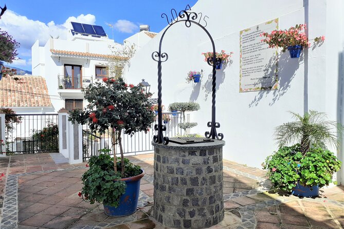 Private Trip in Gibraltar and Estepona From Marbella - Reviews