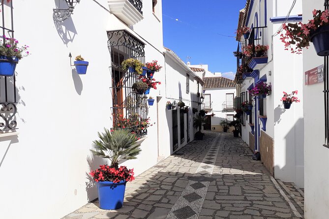 Private Trip in Gibraltar and Estepona From Marbella - Highlights of the Experience