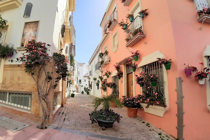 Private Trip in Gibraltar and Estepona From Marbella - Tour Guide Expertise