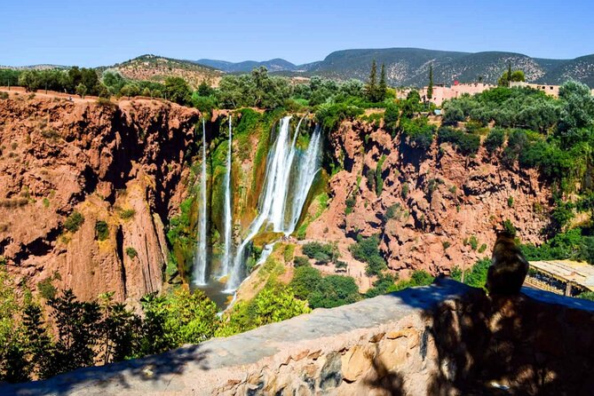 Private Trip Marrakech: Ouzoud Waterfalls Guided & Boat Ride - Confirmation and Accessibility
