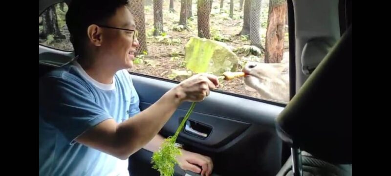 Private Trip Safari Park From Surabaya/Malang (All Inclusive) - Pickup and Drop-off Locations