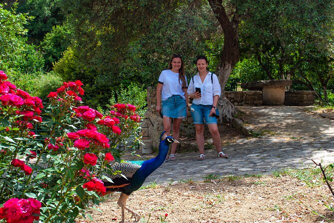 Private Trip Through the Heart of Crete, Picnic & Wine Tasting - Wine Tasting at the Winery