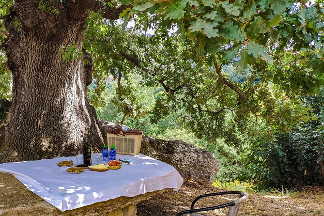 Private Trip Through the Heart of Crete, Picnic & Wine Tasting - Cancellation Policy and Flexibility