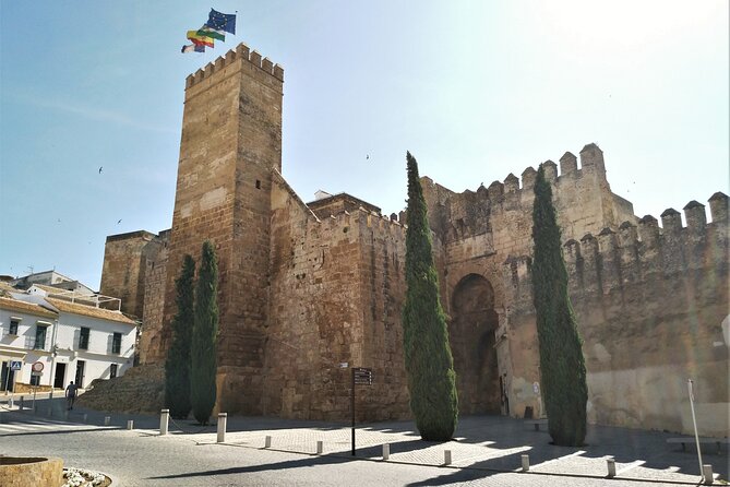Private Trip to Carmona From Seville: 5000 Years of History - Pickup and Meeting Points