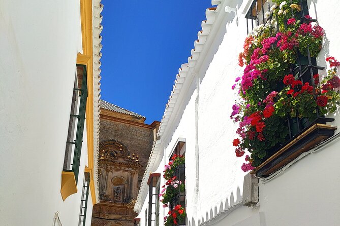 Private Trip to Carmona From Seville: 5000 Years of History - Booking Information and Policies