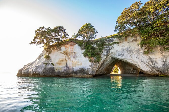 Private Trip to Coromandel - Meeting and Pickup