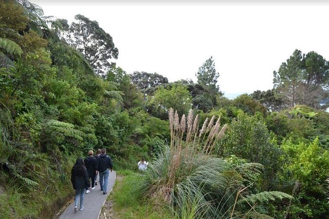 Private Trip to Coromandel - Accessibility