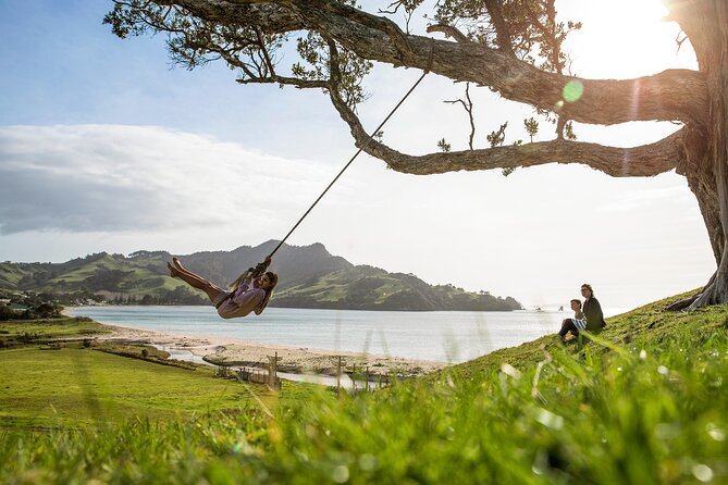 Private Trip to Coromandel - Customer Reviews