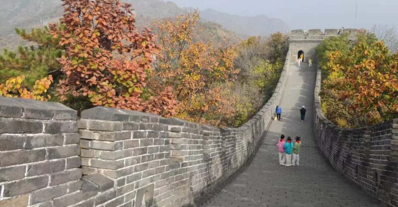 Private Trip to Great Wall+Panda House With English Driver - Itinerary and Activities