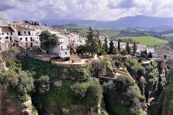 Private Trip to Ronda From Costa Del Sol - Personalized Cultural Immersion