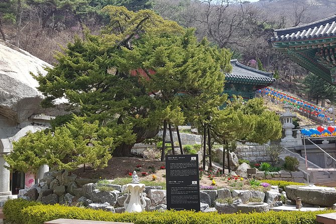 Private Trip to Seongmo Island(Temple) and North Korea Observatory+Kimchi Lesson - Experience at Bomunsa Temple