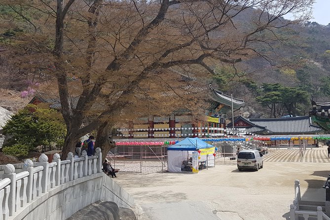 Private Trip to Seongmo Island(Temple) and North Korea Observatory+Kimchi Lesson - Reviews and Ratings