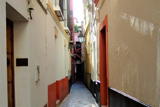Private Trip to Seville From Costa Del Sol - Seville Cathedral and Alcazar