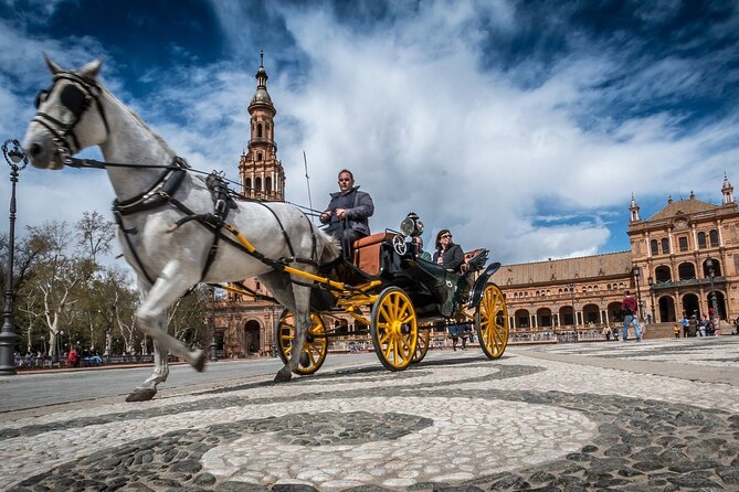 Private Trip to Seville From Costa Del Sol - Dress Code and Reservations
