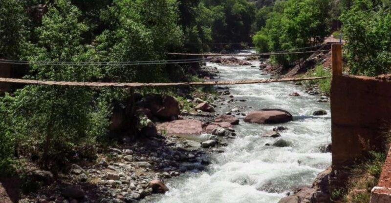 Private Trip:Ourika Valley,Atlas Mountains Waterfalls &Lunch - Experience Highlights