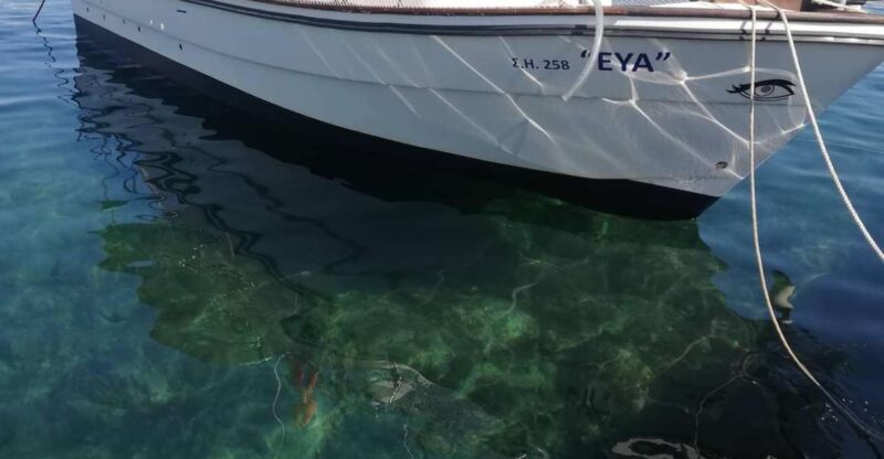 Private Trips - Swimming and Snorkeling