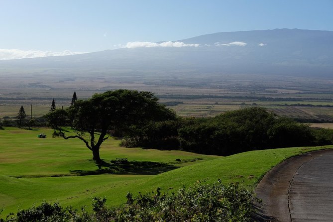 Private Tropics of Maui & Rainforest Valley: Kahului, Wailea, Kihei Pick up - Accessibility and Cancellation Policy