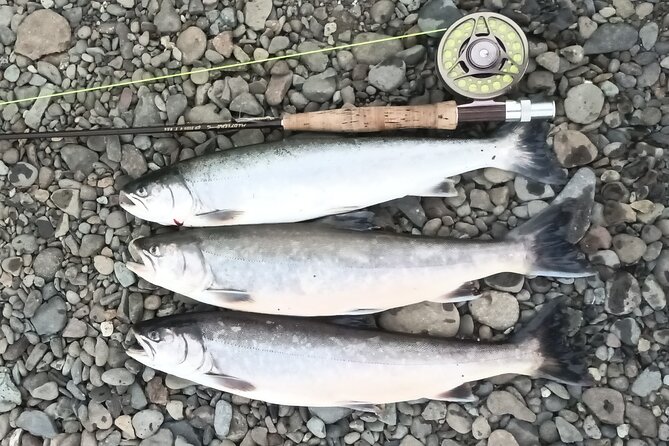 Private Trout and Char Fishing in Icelandic Serenity Experience - Seasonal Availability and Schedule