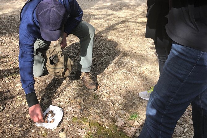 Private Truffle Hunt in Tuscany - Overview of the Tour