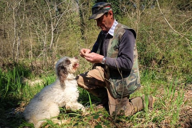 Private Truffle Hunt in Tuscany From Florence - Key Points