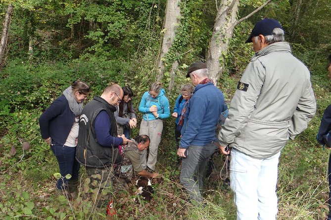 Private Truffle Hunt in Tuscany From Florence - Truffle-Infused Tuscan Lunch